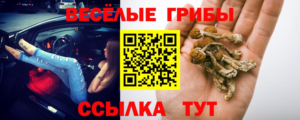 Тавда  Галлюциногенные грибы мухоморы  Вход с VPN 